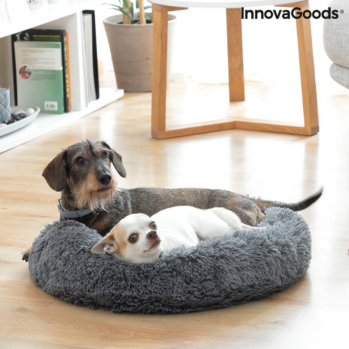 Anti-stress Pet Bed Bepess InnovaGoods Ø 60 cm - [[Product type]] | Buffy's