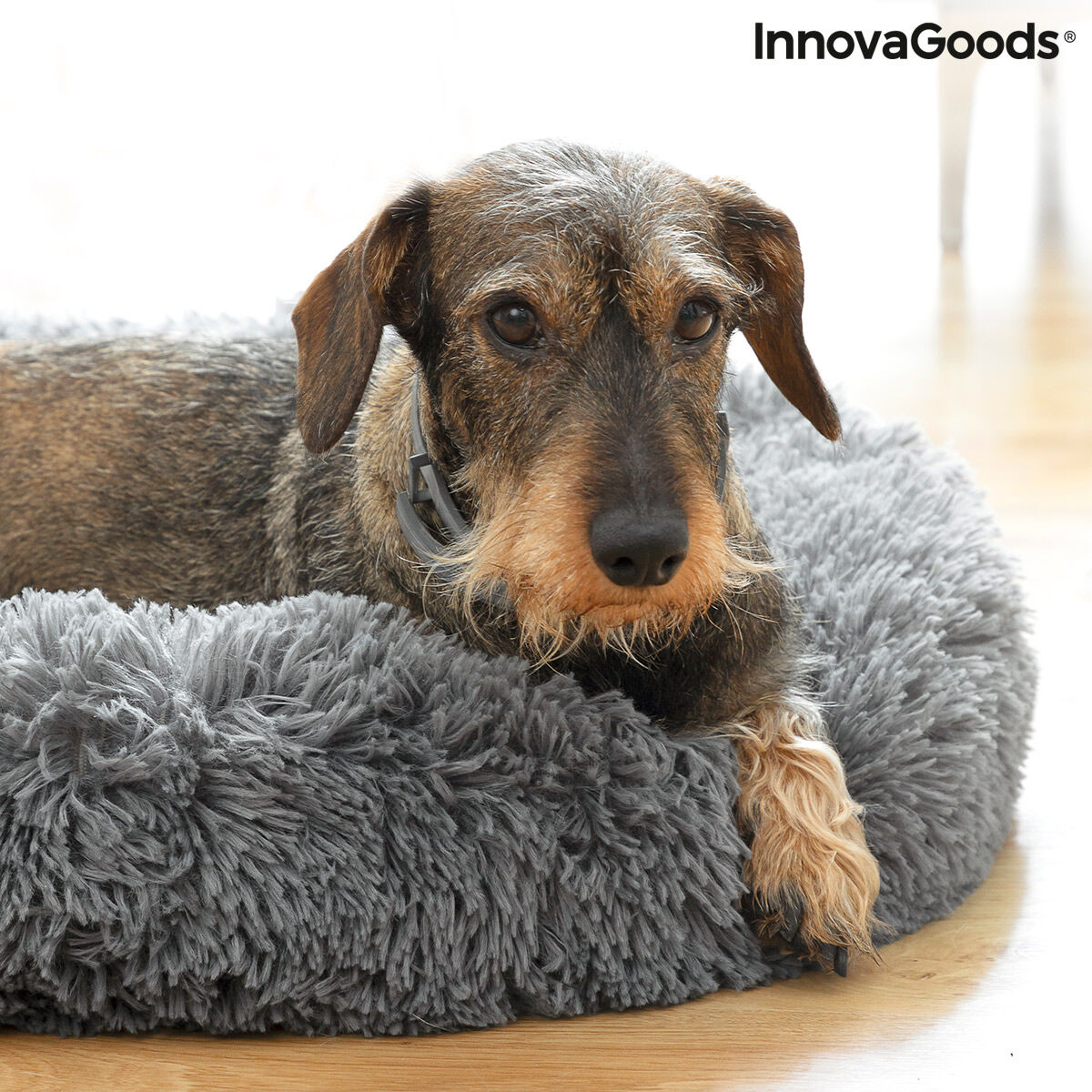 Anti-stress Pet Bed Bepess InnovaGoods Ø 60 cm - [[Product type]] | Buffy's