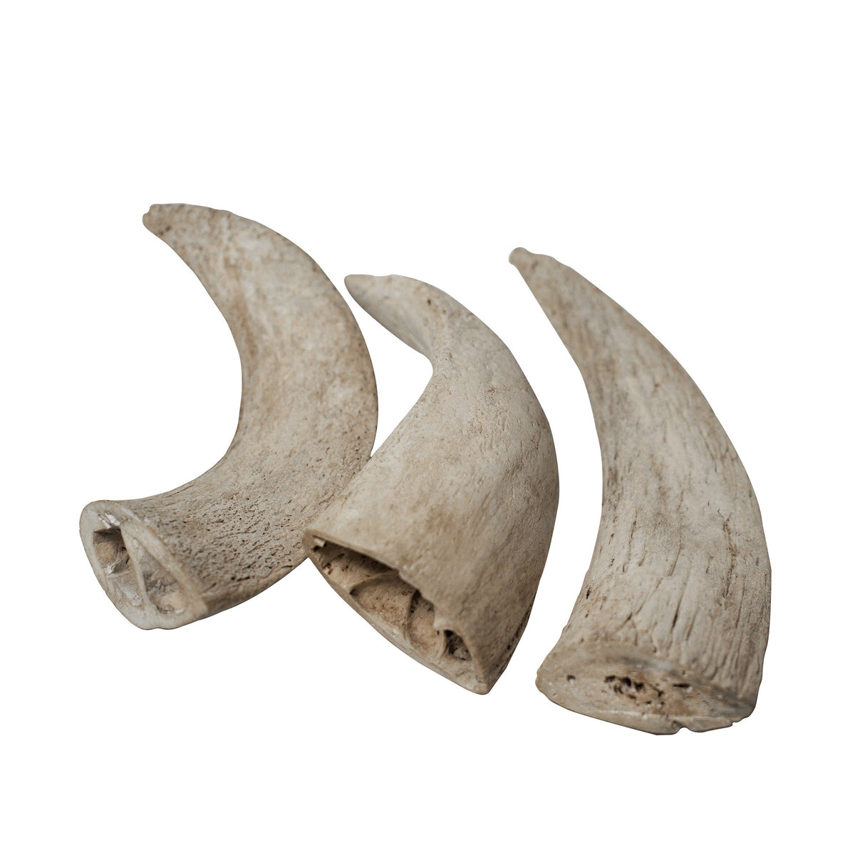 Water Buffalo Horn Core Dog Chews-2 Count-10 oz - [[Product type]] | Buffy's