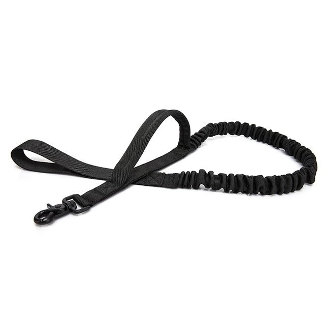 Pet Dog Leash With Highly Reflective Threads - [[Product type]] | Buffy's