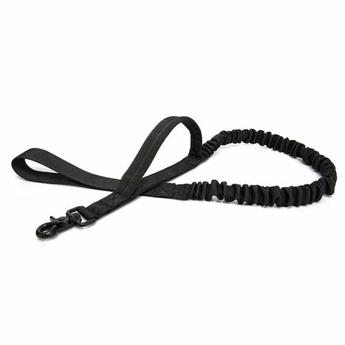 Pet Dog Leash With Highly Reflective Threads - [[Product type]] | Buffy's