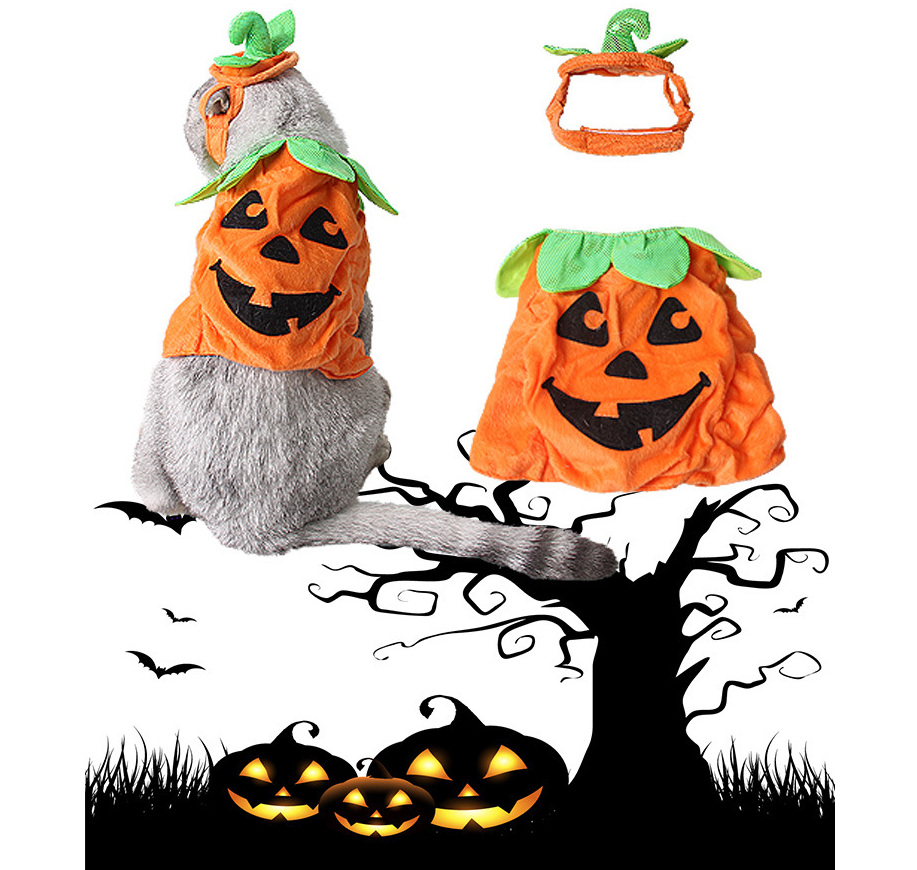 Halloween Pet Cats Costume Props Creative Pumpkin - [[Product type]] | Buffy's