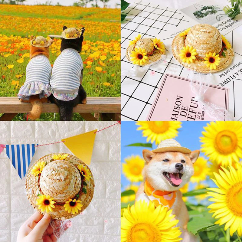 9cm Spring Sunflower Floral Cat Straw Hat