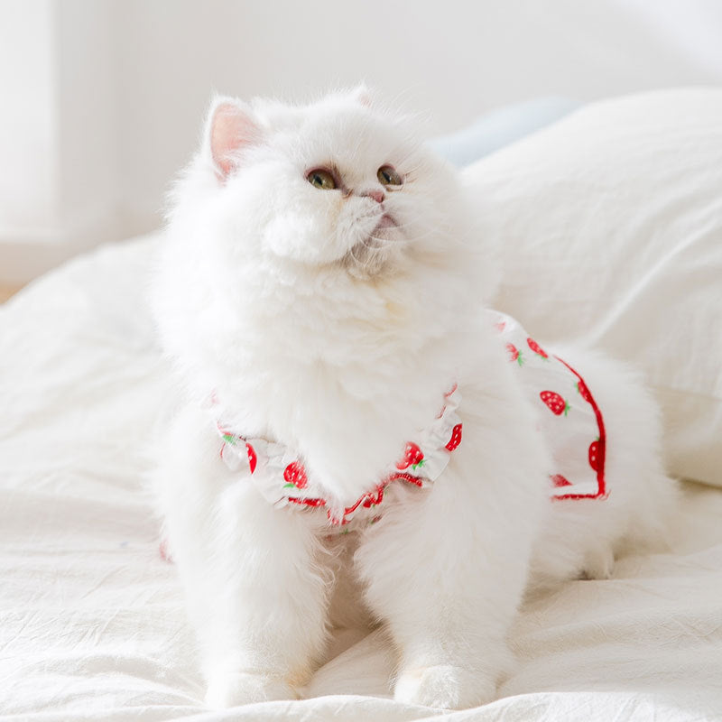 Strawberry For Dogs Dress Suspenders Pet Dog Clothes