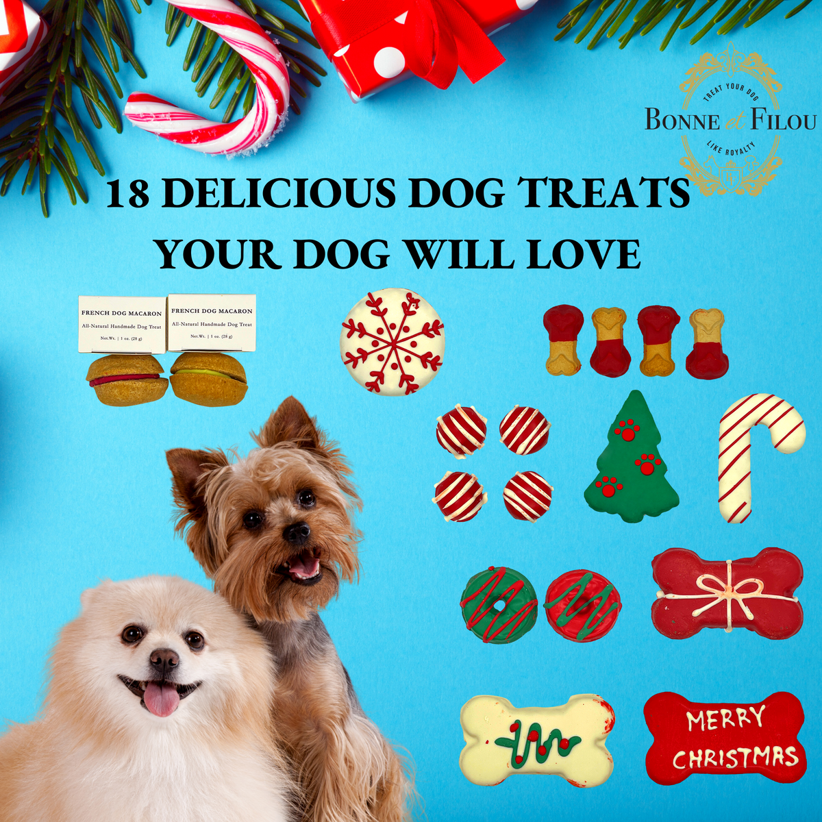 Christmas Themed Dog Treats Gift Box - [[Product type]] | Buffy's