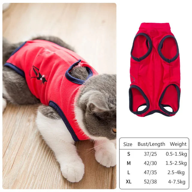Cat Sterilization Suit Spring Summer Anti-Licking Surgery After Recovery