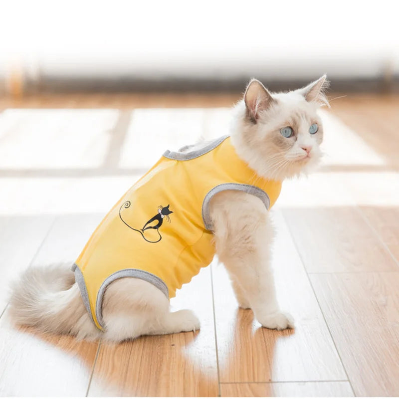 Cat Sterilization Suit Spring Summer Anti-Licking Surgery After Recovery