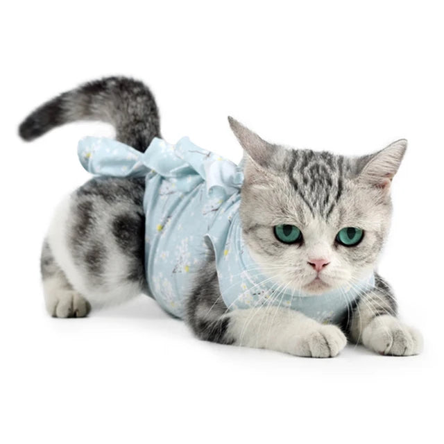 Cat Surgical Recovery Suits After Surgery Wear Pet Clothes