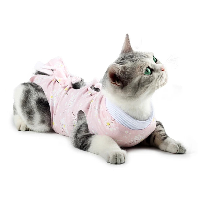 Cat Surgical Recovery Suits After Surgery Wear Pet Clothes