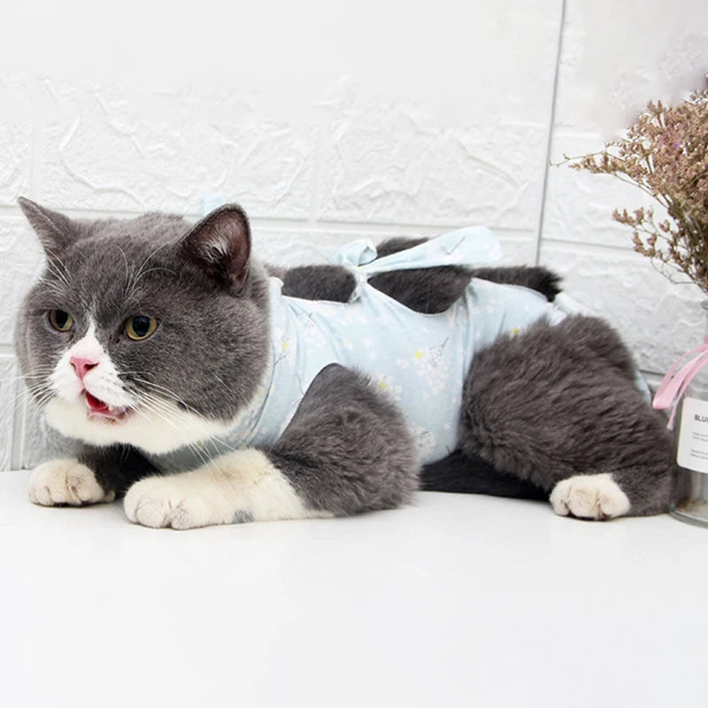 Cat Surgical Recovery Suits After Surgery Wear Pet Clothes