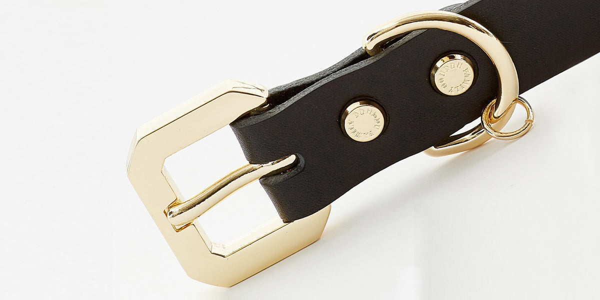 Golden Spike Black Collar - [[Product type]] | Buffy's