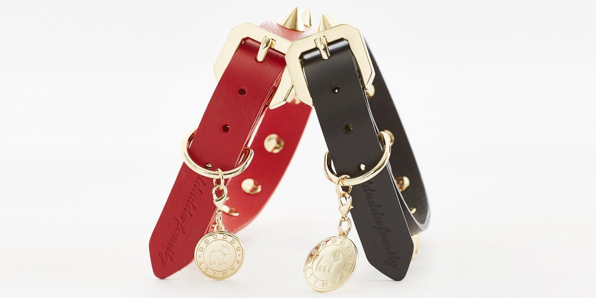 Golden Spike Black Collar - [[Product type]] | Buffy's