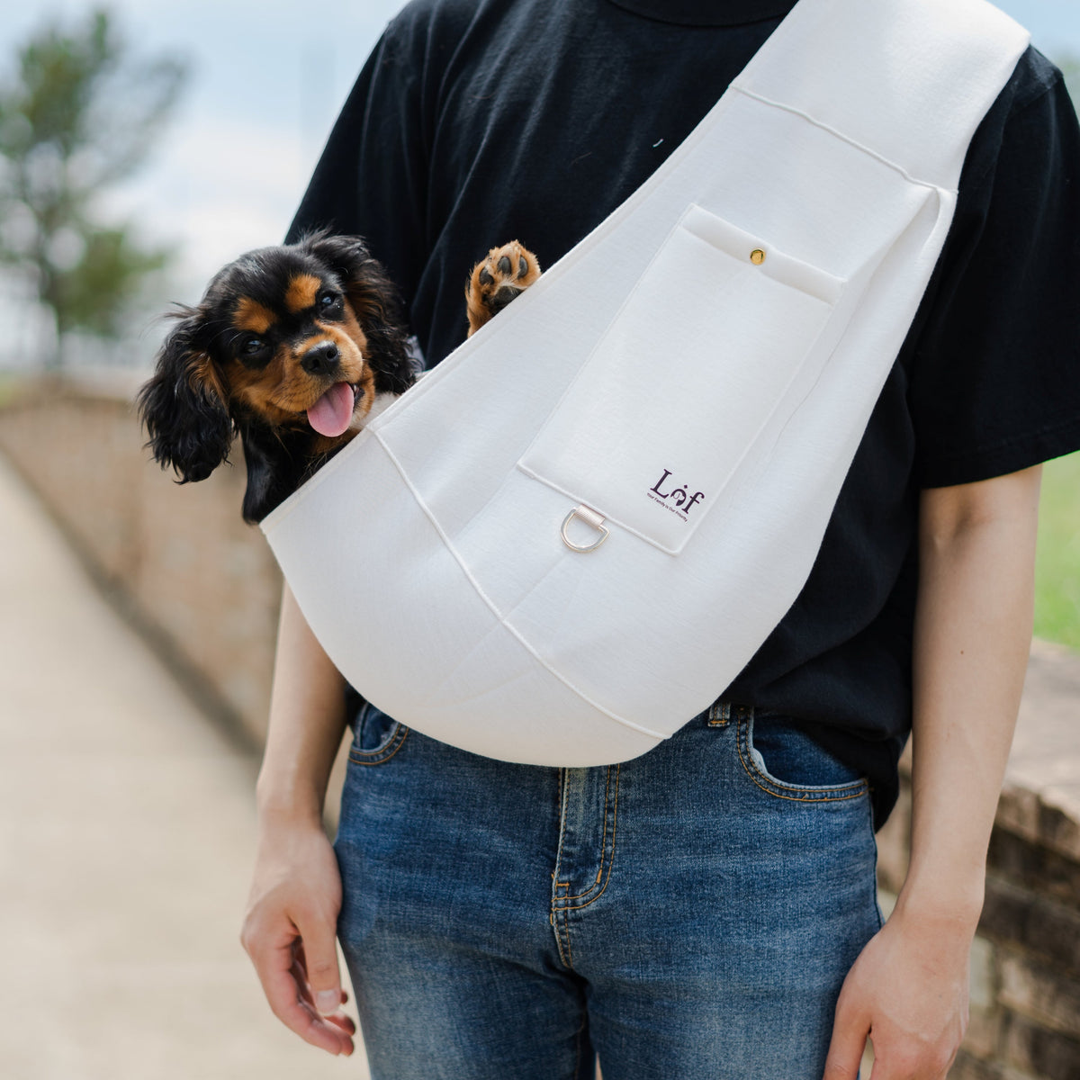 Lof Neoprene Pet Sling Carrier - Secure & Stylish Travel for Small - [[Product type]] | Buffy's