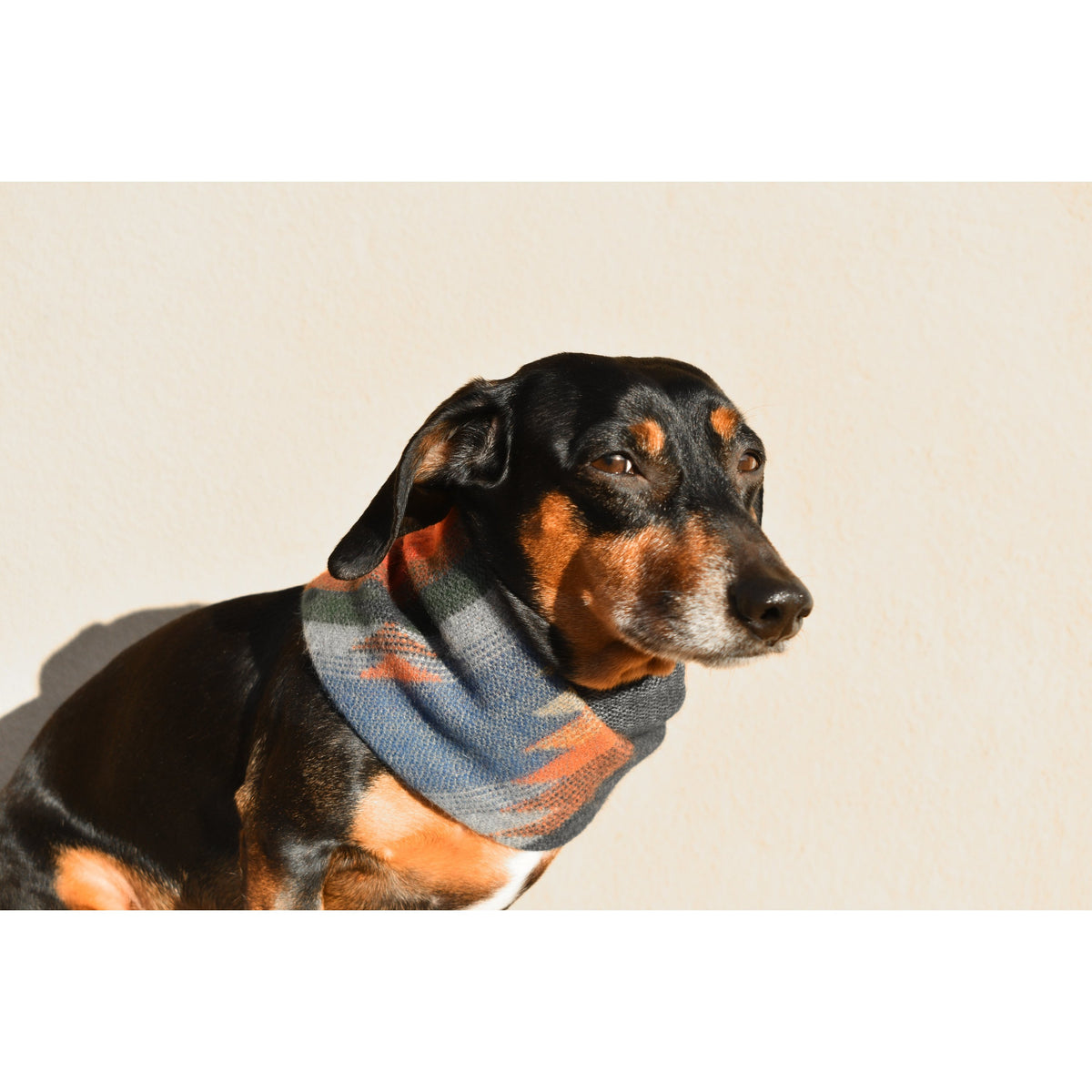 Sequoia Dog Scarf - [[Product type]] | Buffy's