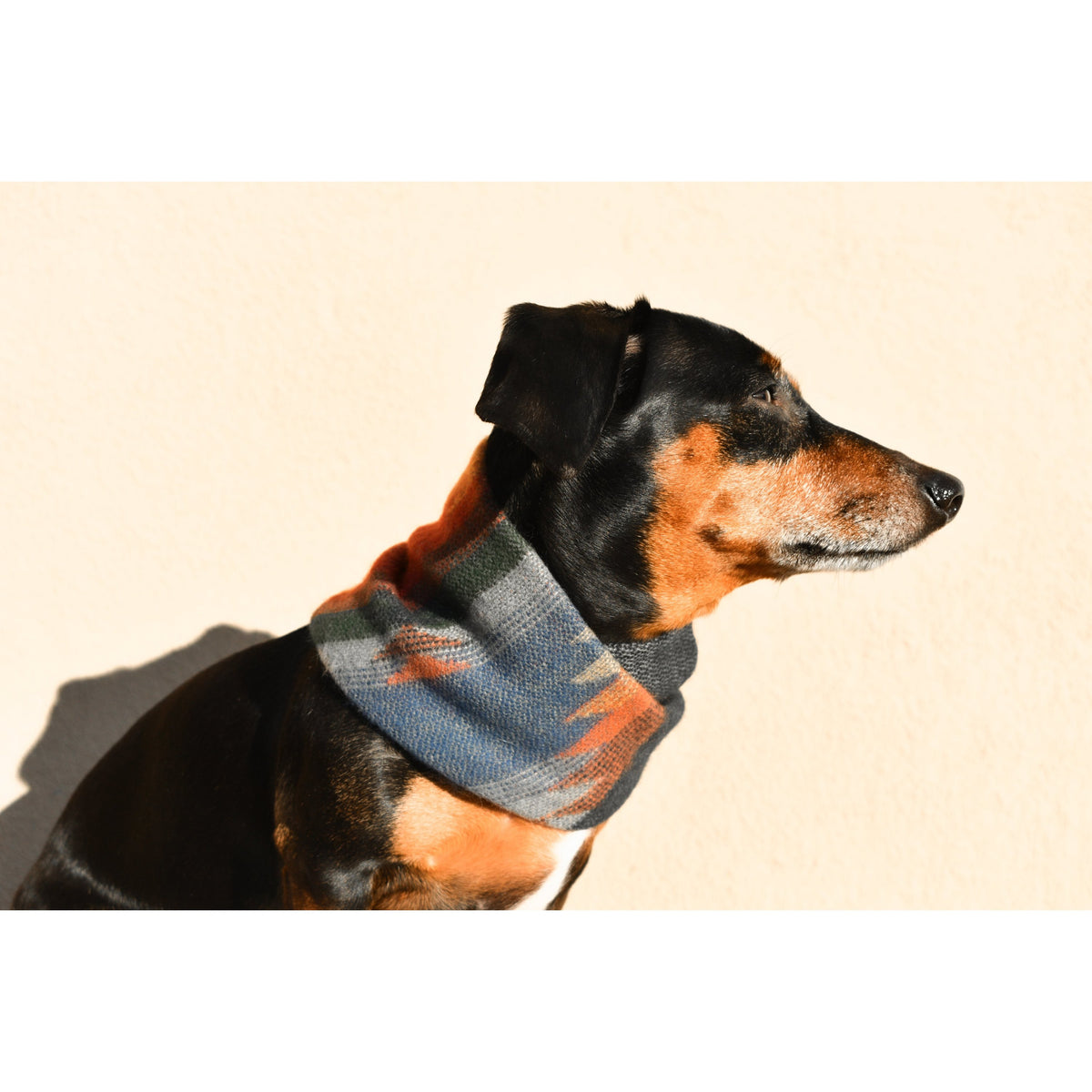 Sequoia Dog Scarf - [[Product type]] | Buffy's