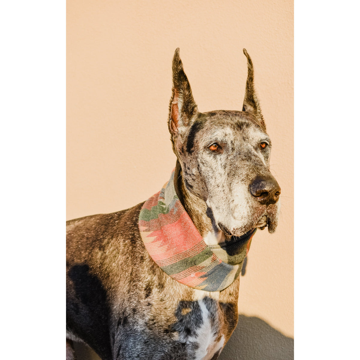 Sequoia Dog Scarf - [[Product type]] | Buffy's