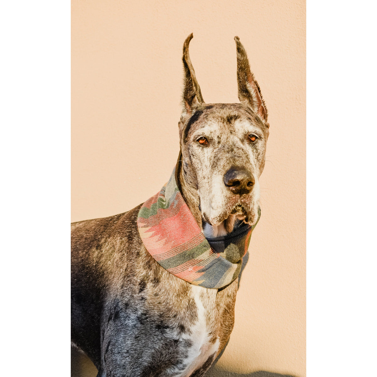 Sequoia Dog Scarf - [[Product type]] | Buffy's