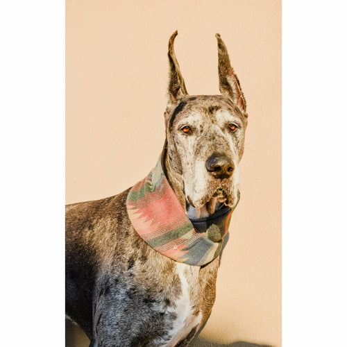 Sequoia Dog Scarf - [[Product type]] | Buffy's