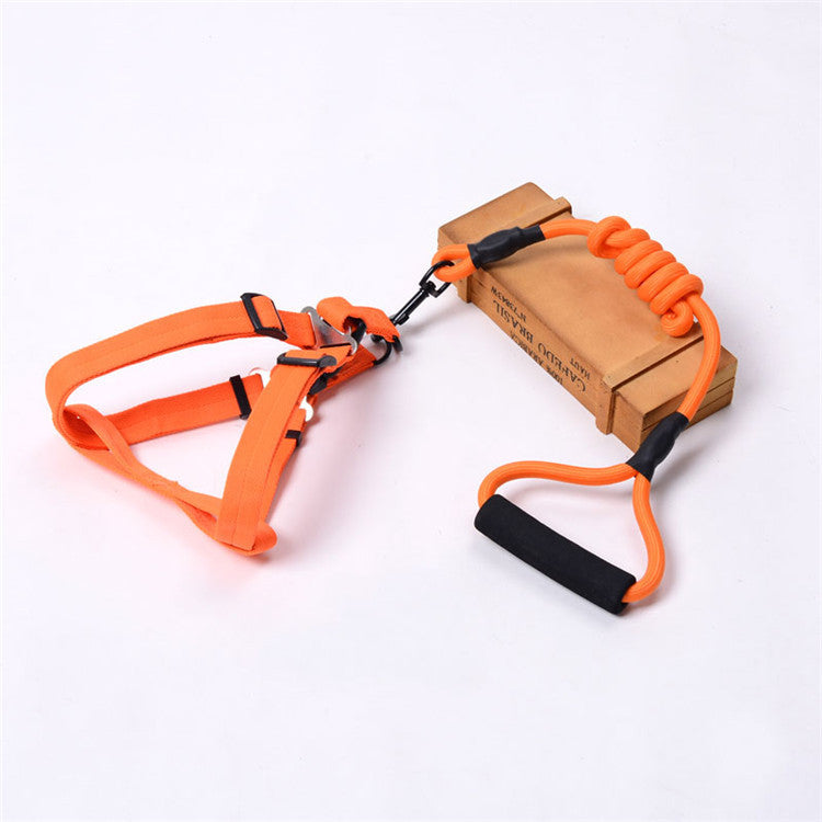 Solid Color Pet Adjustable Chest Strap Harness Leash With Collar Set
