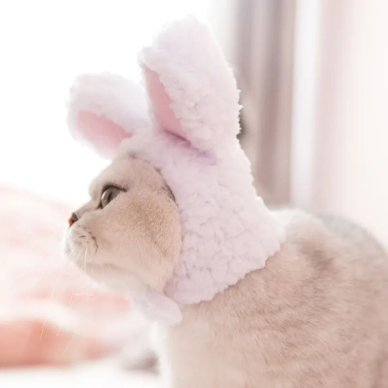 Funny Pet Cat Cap Costume Warm Rabbit Hat
