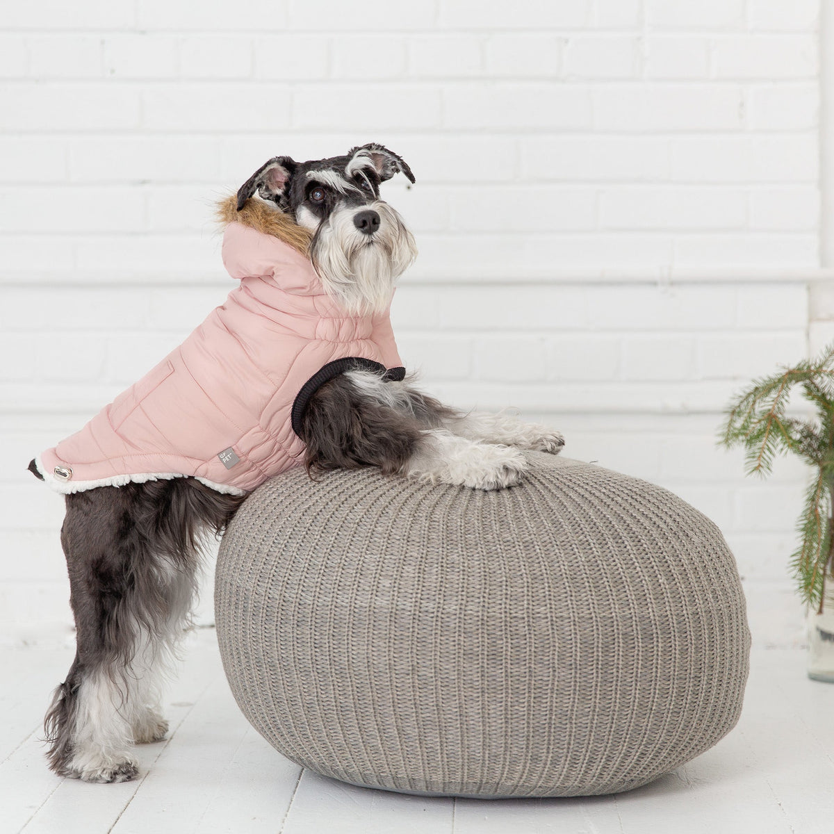 Urban Parka - Pink - [[Product type]] | Buffy's