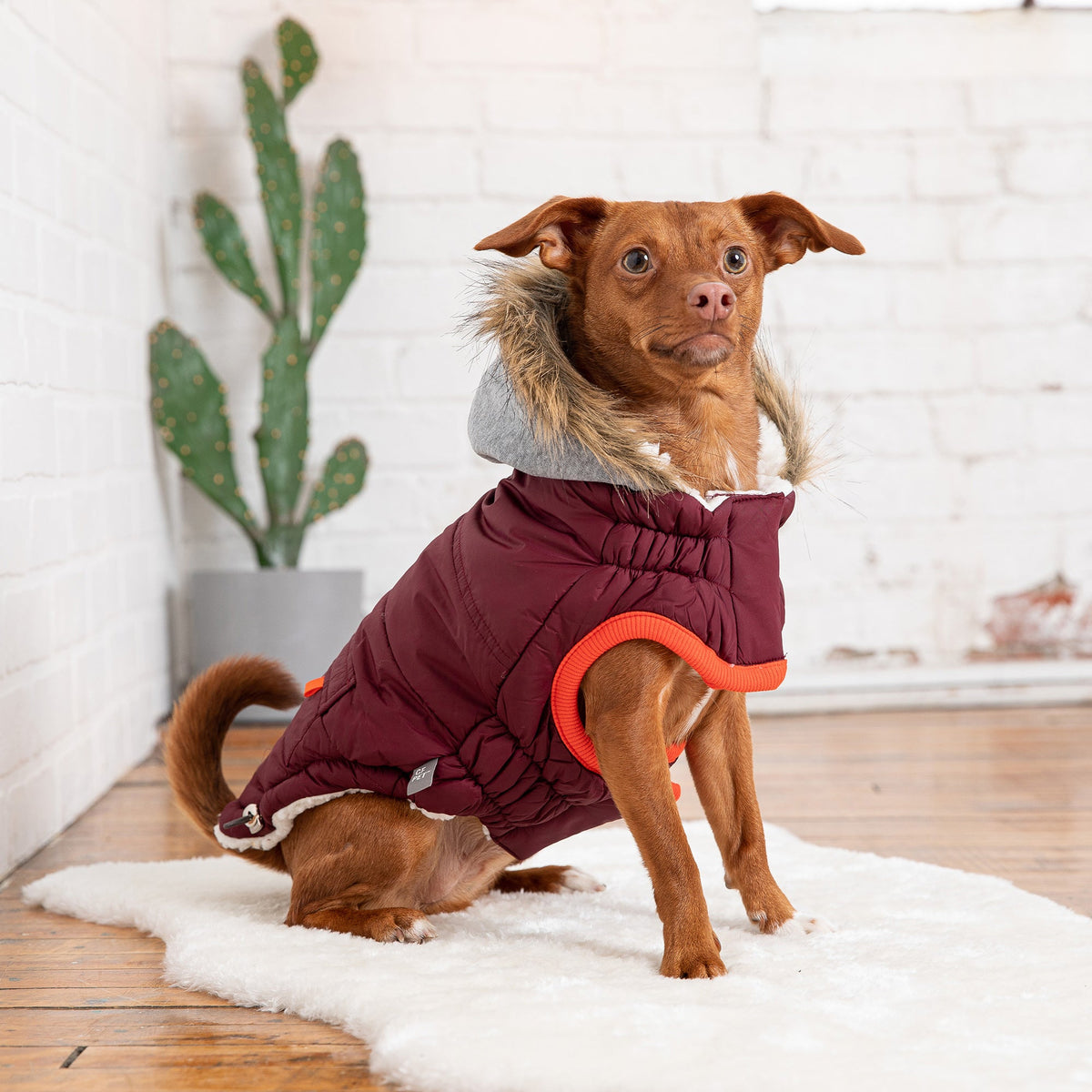 Winter Sailor Parka - Burgundy - [[Product type]] | Buffy's