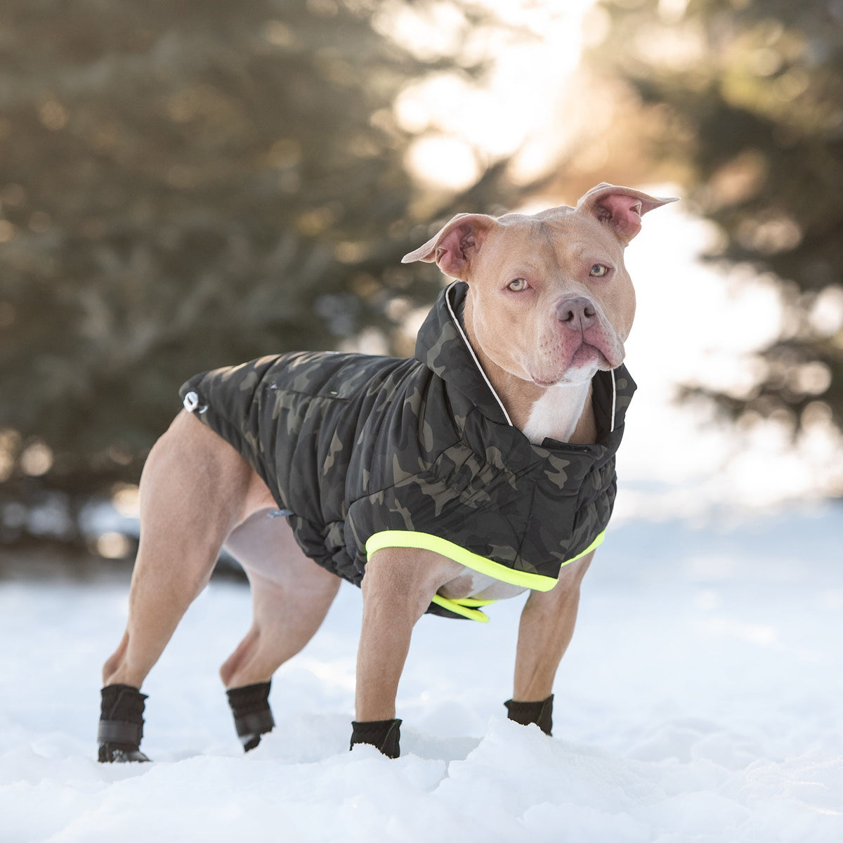 Recycled Parka - Camouflage - [[Product type]] | Buffy's