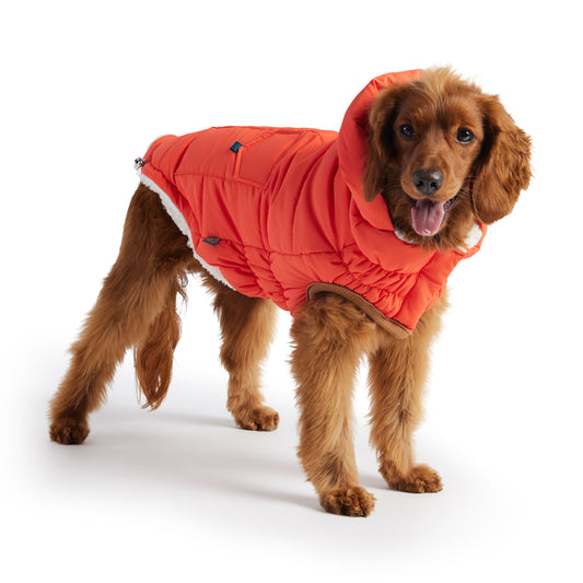 The Puff Parka - Orange - [[Product type]] | Buffy's