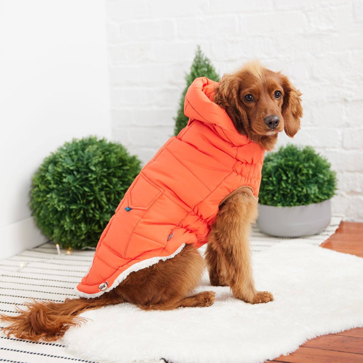 The Puff Parka - Orange - [[Product type]] | Buffy's