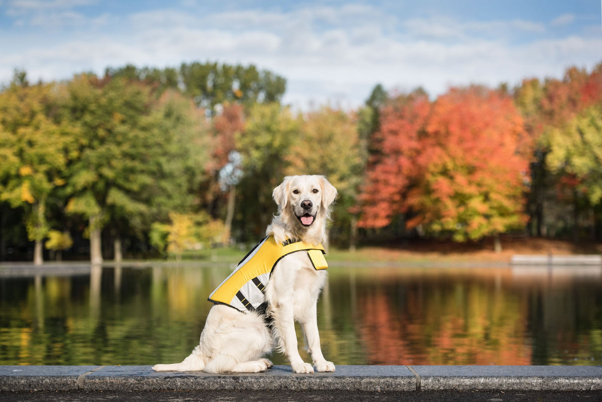 Life Vest - Dog Life Jacket - [[Product type]] | Buffy's