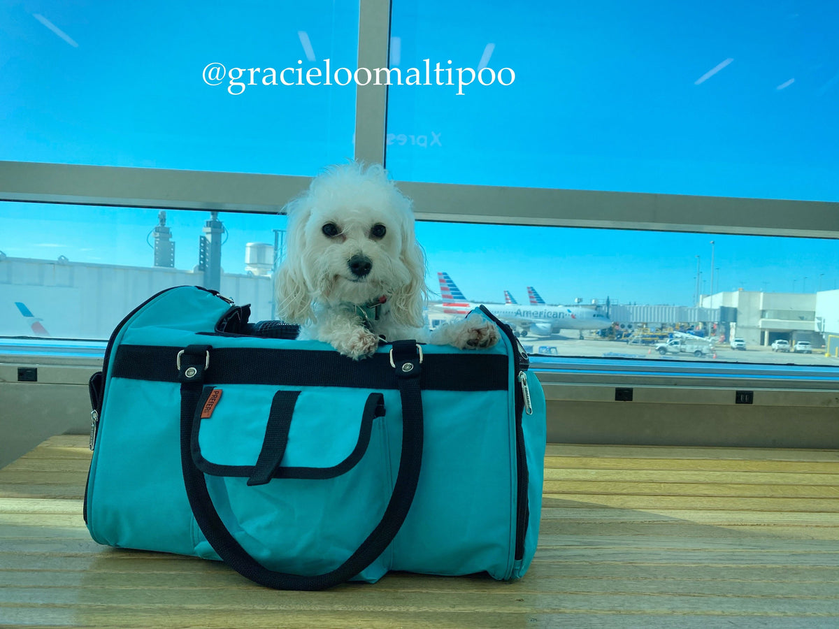 312 Hideaway™ Duffel - Pet Carrier - [[Product type]] | Buffy's