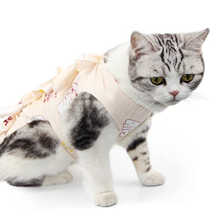 Cat Protective Coat Pet For Abdominal Wounds Or Skin Diseases
