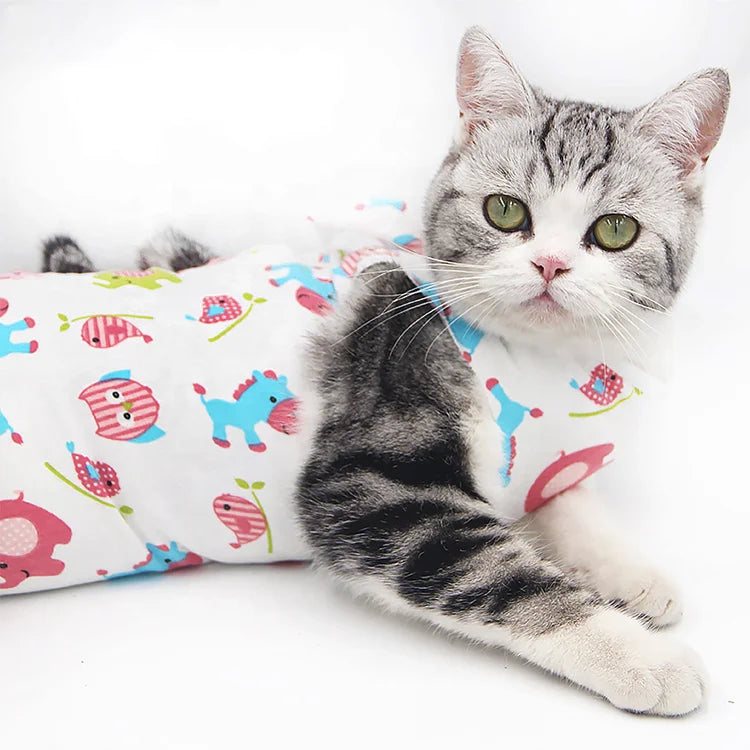 Cat Protective Coat Pet For Abdominal Wounds Or Skin Diseases