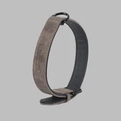 Colorful Comfortable PU Pet Collar Durable Leather With Metal Buckle