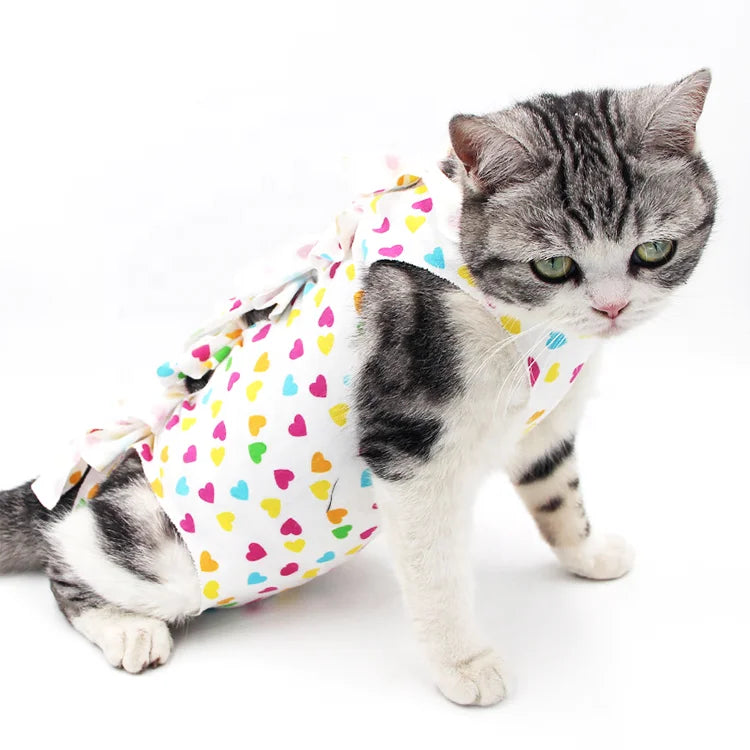 Cat Protective Coat Pet For Abdominal Wounds Or Skin Diseases