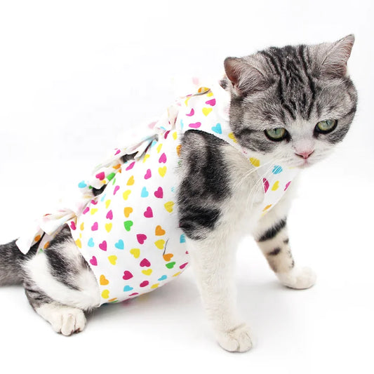Cat Protective Coat Pet For Abdominal Wounds Or Skin Diseases