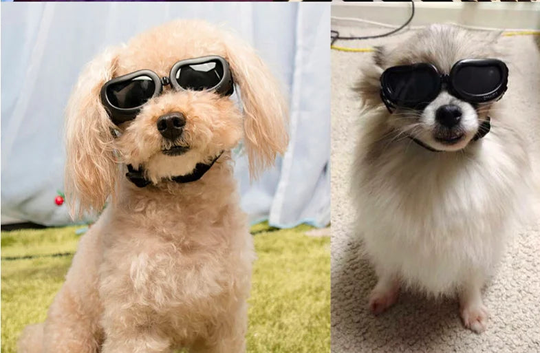 Dog Sunglasses UV Resistant Windproof Doggy Sunglasses