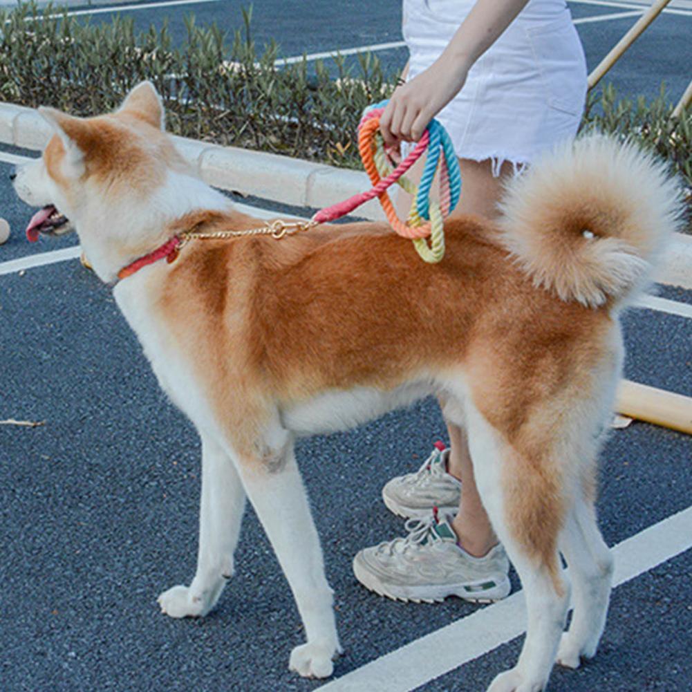Anti-Scape Firm Gradient Color Dog Traction Leash Rope