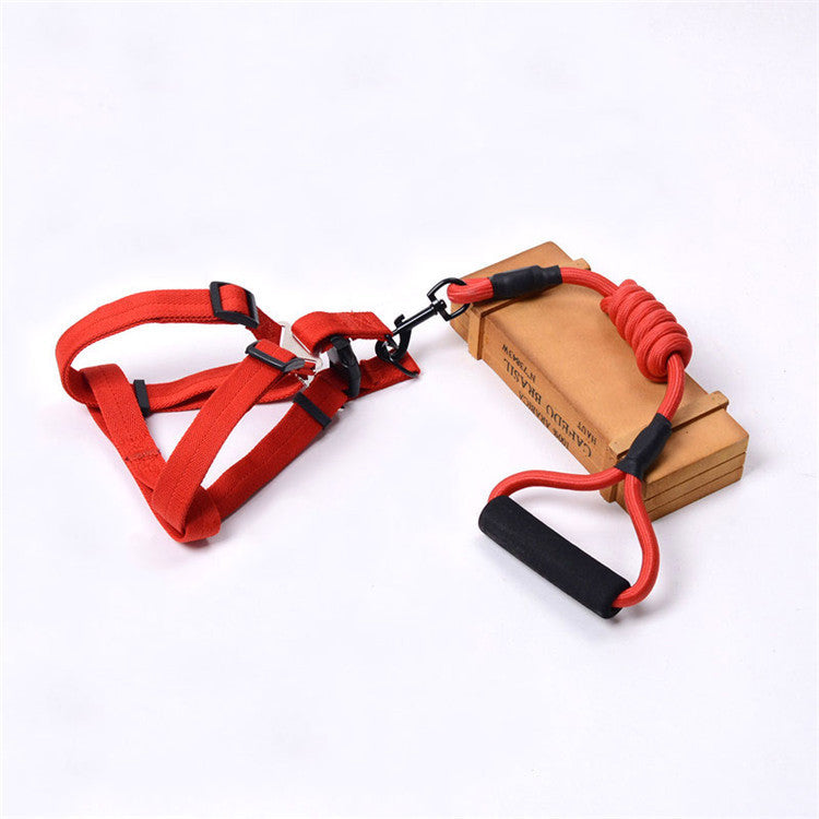 Solid Color Pet Adjustable Chest Strap Harness Leash With Collar Set