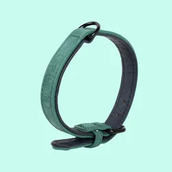 Colorful Comfortable PU Pet Collar Durable Leather With Metal Buckle