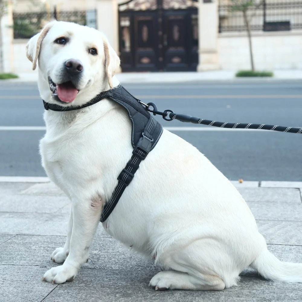 Pet Dog Chest Strap Solid Harness