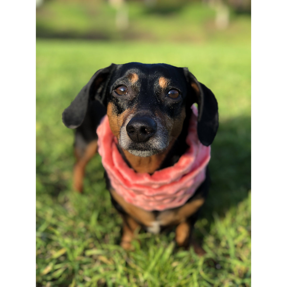 Hubba Hubba Scarf - [[Product type]] | Buffy's