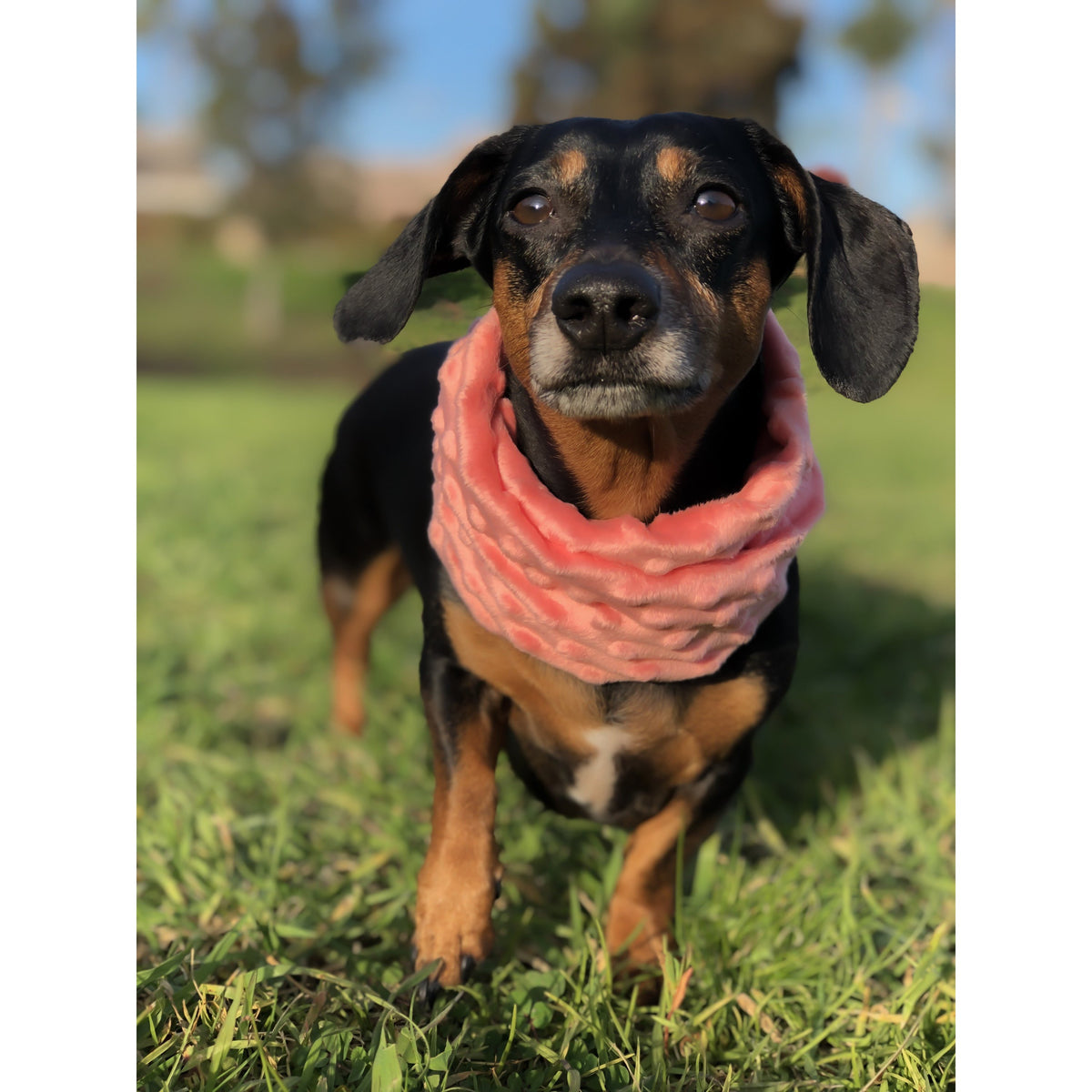 Hubba Hubba Scarf - [[Product type]] | Buffy's
