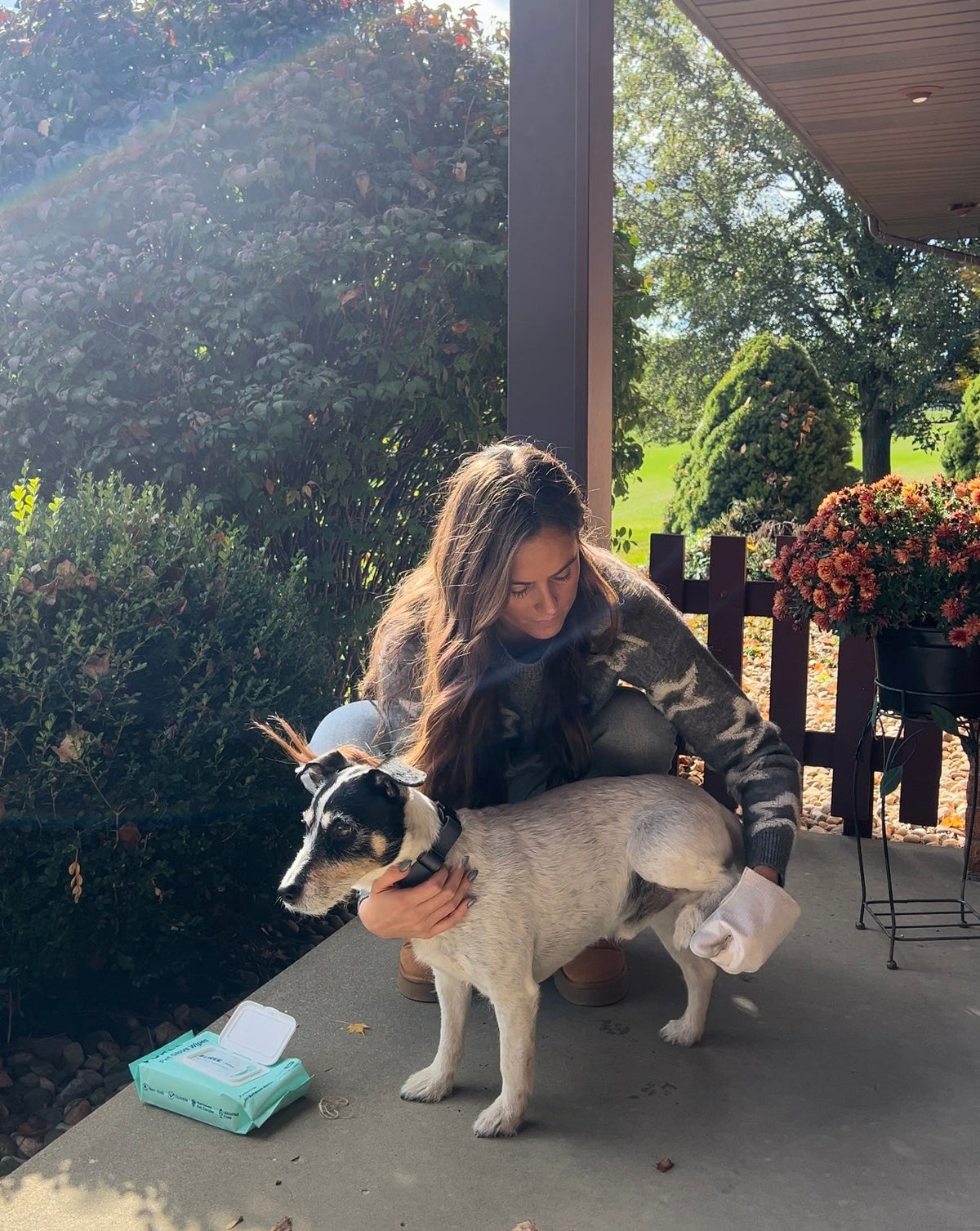 Pet Glove Wipes - [[Product type]] | Buffy's