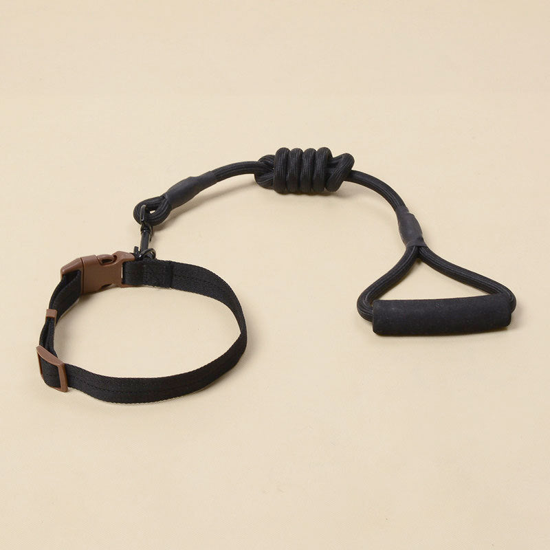 Solid Color Pet Adjustable Chest Strap Harness Leash With Collar Set
