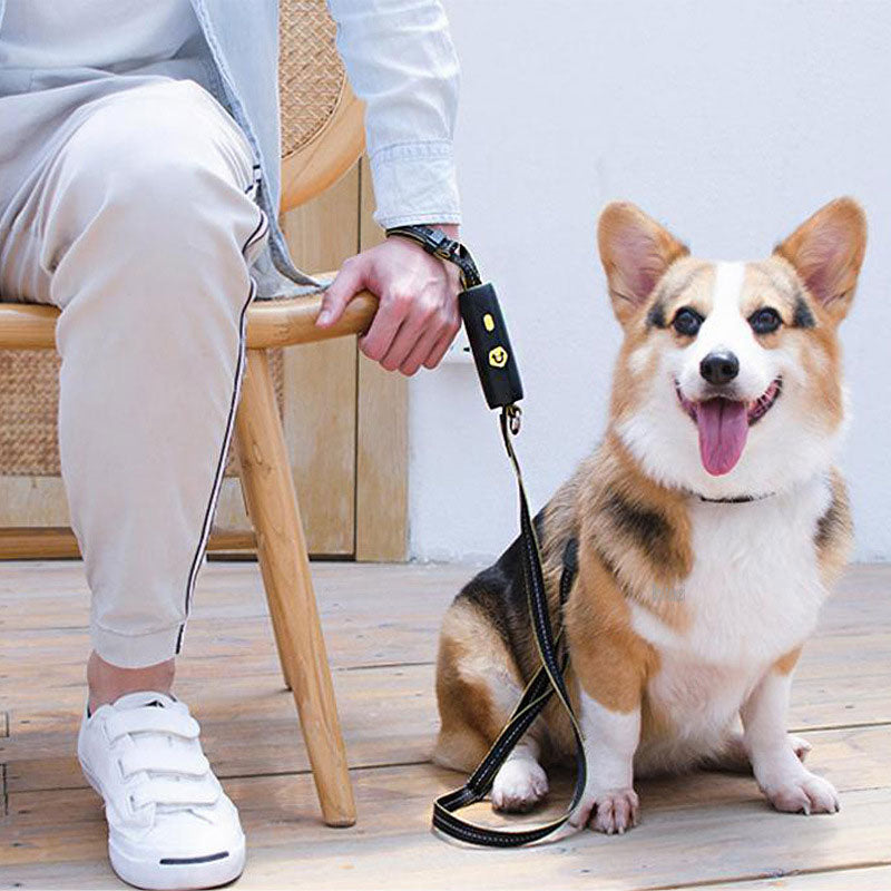Dog Adjustable Traction Elastic Reflective Leash Traction Rope
