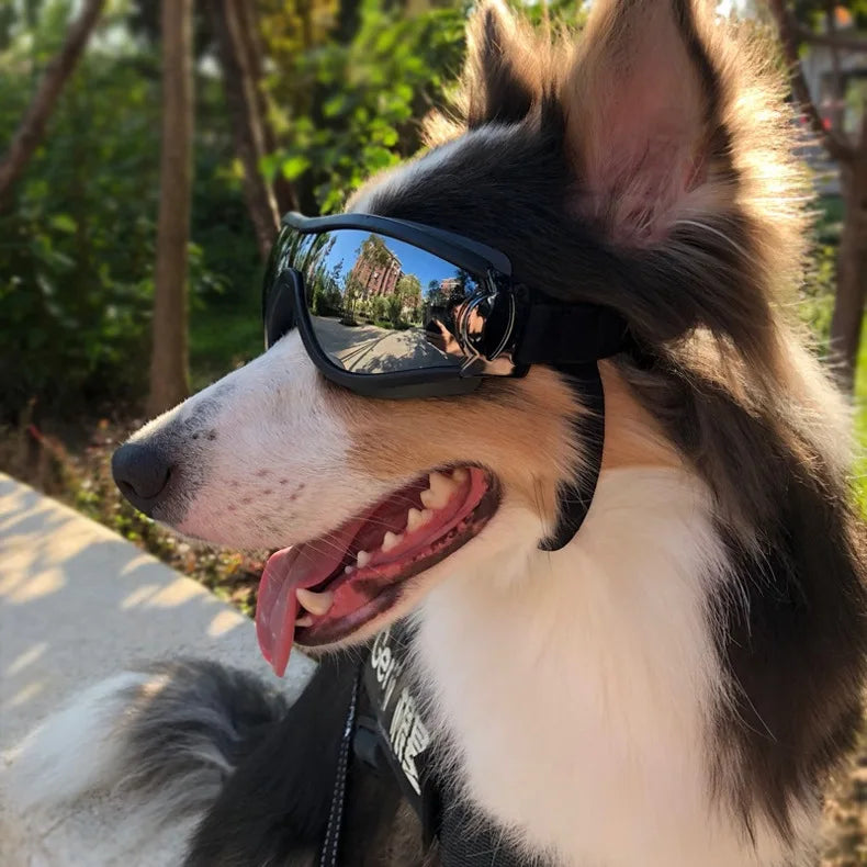 Dog Sunglasses UV Protection Windproof Anti-Breaking Goggles