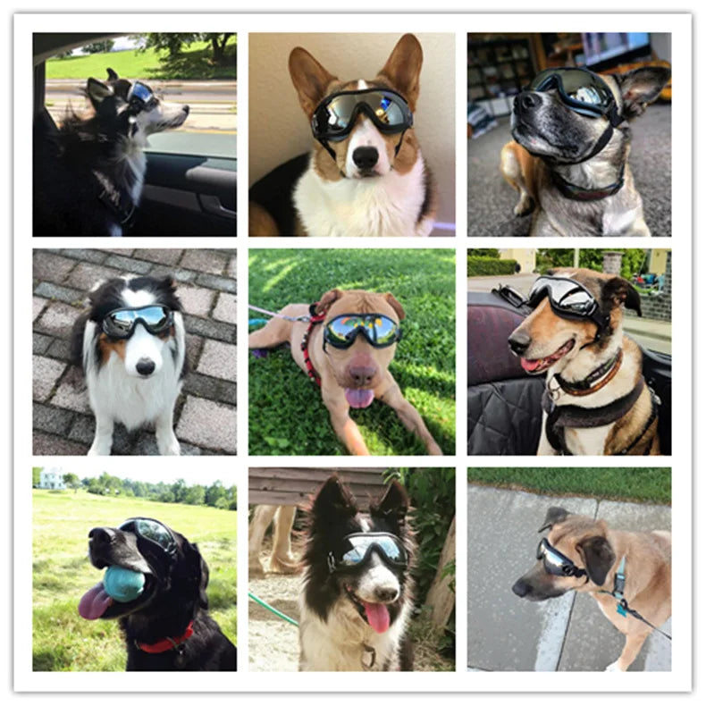 Dog Sunglasses UV Protection Windproof Anti-Breaking Goggles