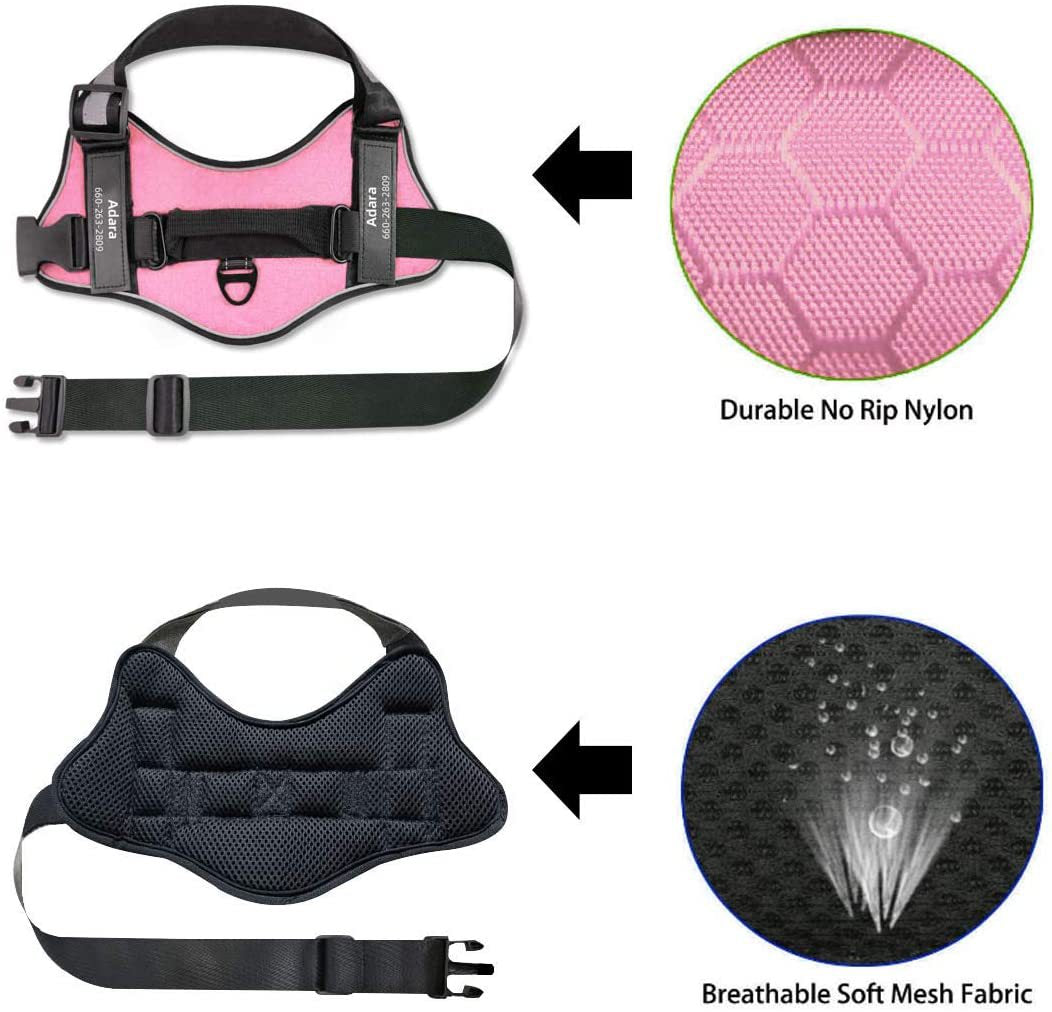 Pet Dog Walking Harness Leash Lead Set