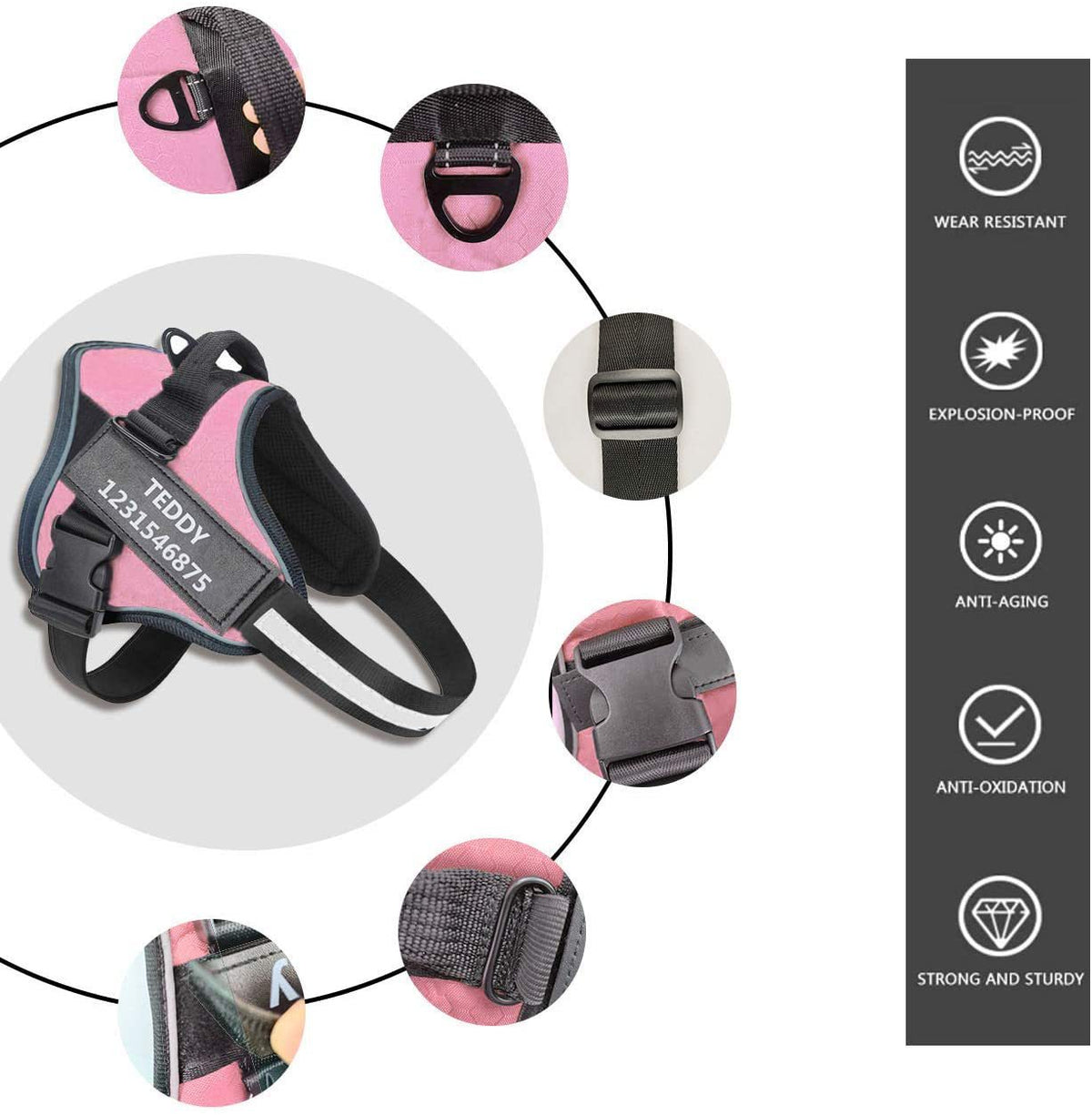 Pet Dog Walking Harness Leash Lead Set